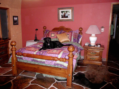 Master Bedroom 02.jpg