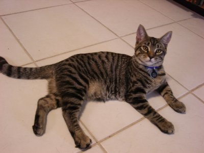 Benny  Tara 007.JPG