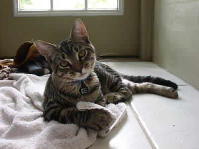 Benny  Tara 018.JPG