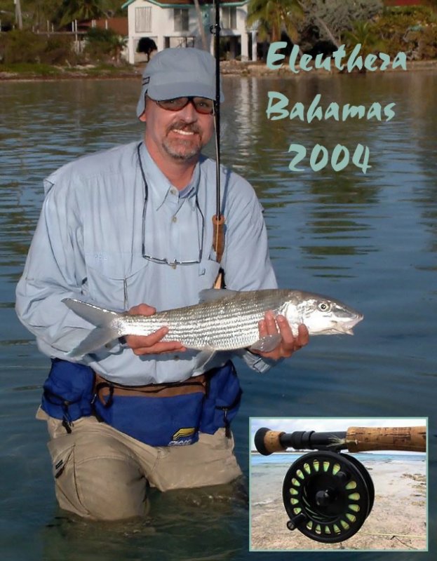 another Bahamas bonefish
