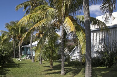 Cupids cottage