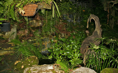 Kati's secret garden