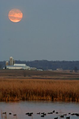 Rising Moon over the Marsh, Horicon Marsh, WI