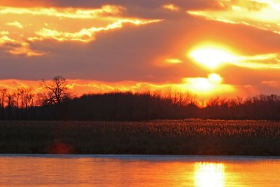 Setting Sun at Horicon Marsh, WI