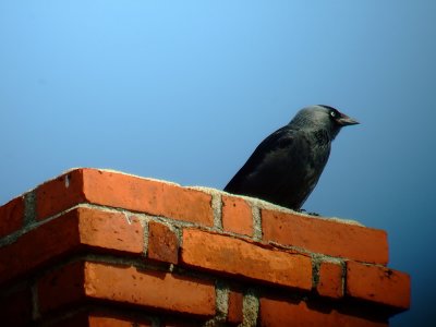 DSCF1730.jpg