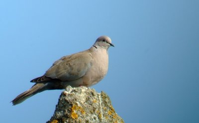 DSCF1752.jpg