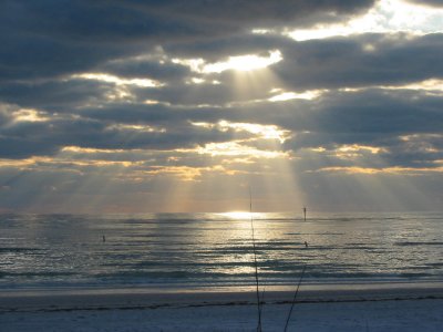 Rays on the Gulf