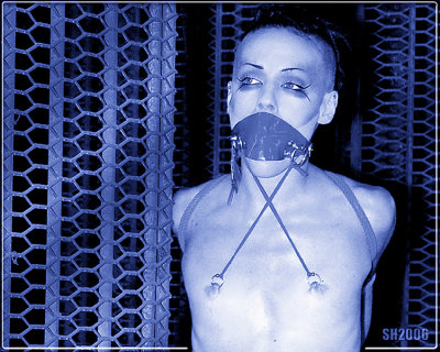 Blue Bound