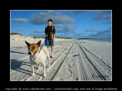 boy dog beach