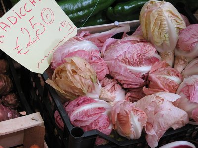Pink radicchio  0213
