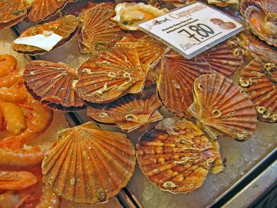 Scallops!  0421