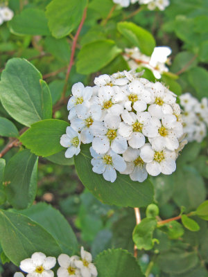 g6/92/758692/3/77352798.flZdMNwc.jpg