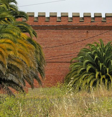 Old bricks and palms  1842