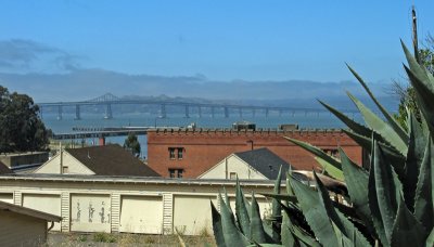 Agave and view   1870