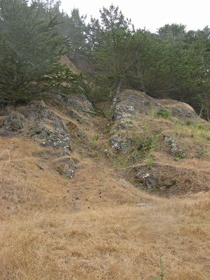 Inland side of the trail <br />2238.jpg