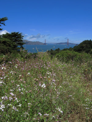 Summer view of the Golden Gate2576