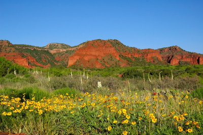 South Prong Canyon Trailhead