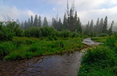 Ohahu Creek