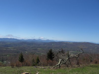 IMG_0742.JPG