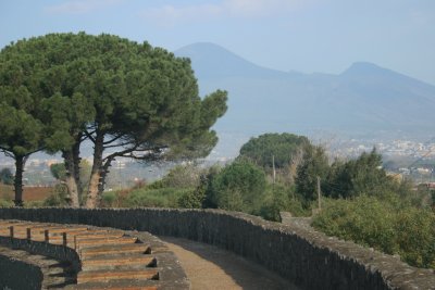 IMG_5887.JPG