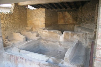 IMG_5905.JPG