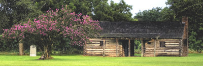 Texas History