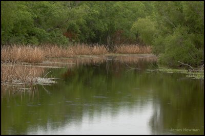 scenic1.jpg