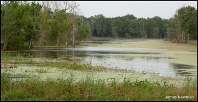 scenic2.jpg