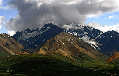 Denali's Cloudy Landscape