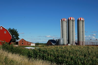Corn and silos