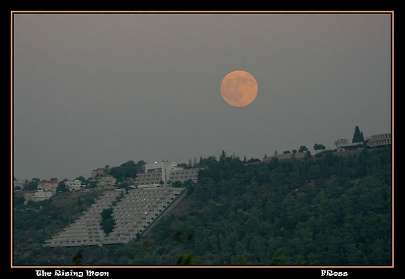 The Rising Moon.jpg