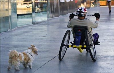 Handcycling