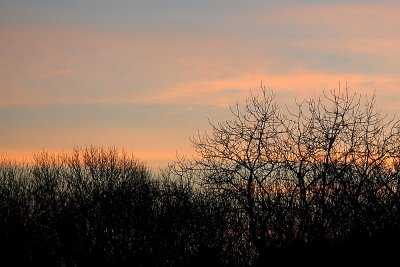 Minimalist morning.jpg