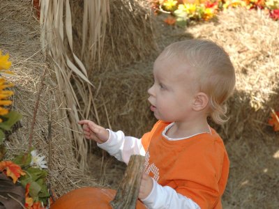 Wow, that's a big pumpkin