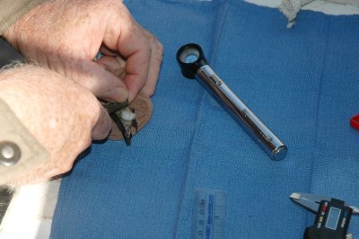 Attaching the band