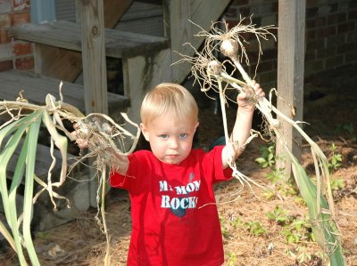 Brooks the garlic farmer