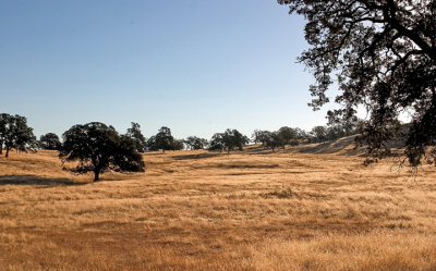 California -- the Golden State.jpg