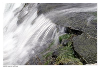 Robert Treman State Park