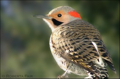 Flicker
