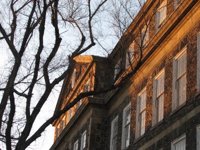 Dalhousie University