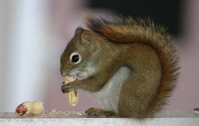 Breakfast Time