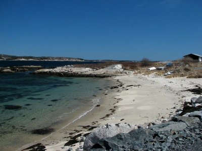 The Quiet Beach