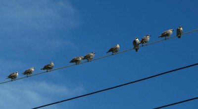 All In A Row