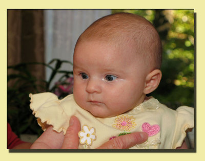 A New Baby Girl