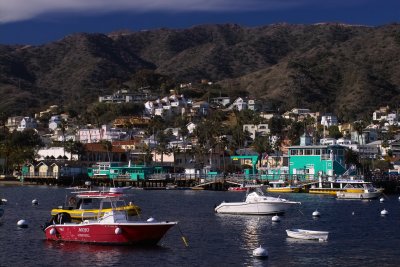 avalon harbour