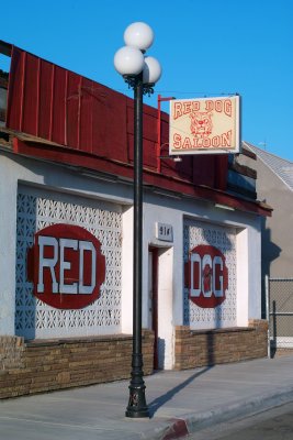 red dog saloon, needles