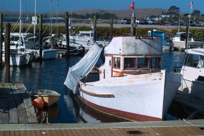 bodega bay