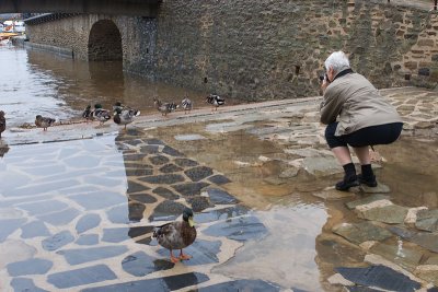 Luci photographing the ducks at Collioure