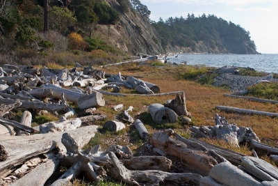 Fossil Bay