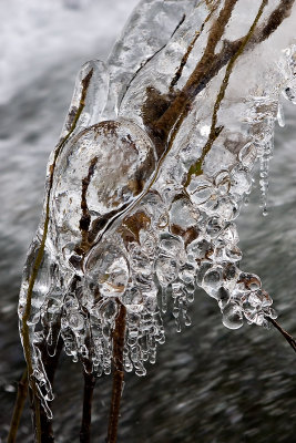 Ice by Whatcom Creek